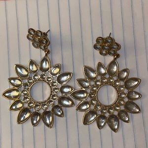 Stunning Shiny Earrings